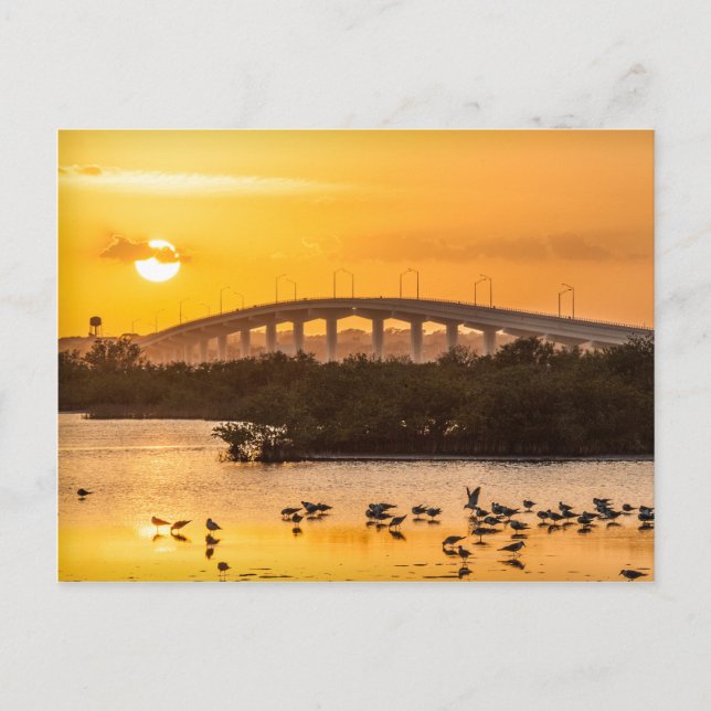 Florida Sunset Travel Photography - Titusville Postcard (Front)