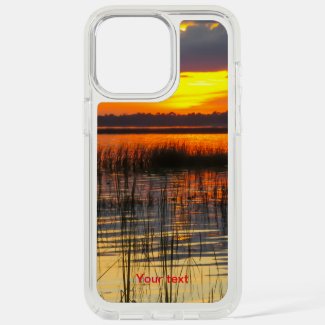 Florida Sunset with grass silhouettes 