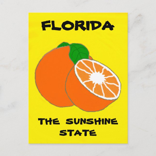 Florida Sunshine State.jpg Postcard (Front)