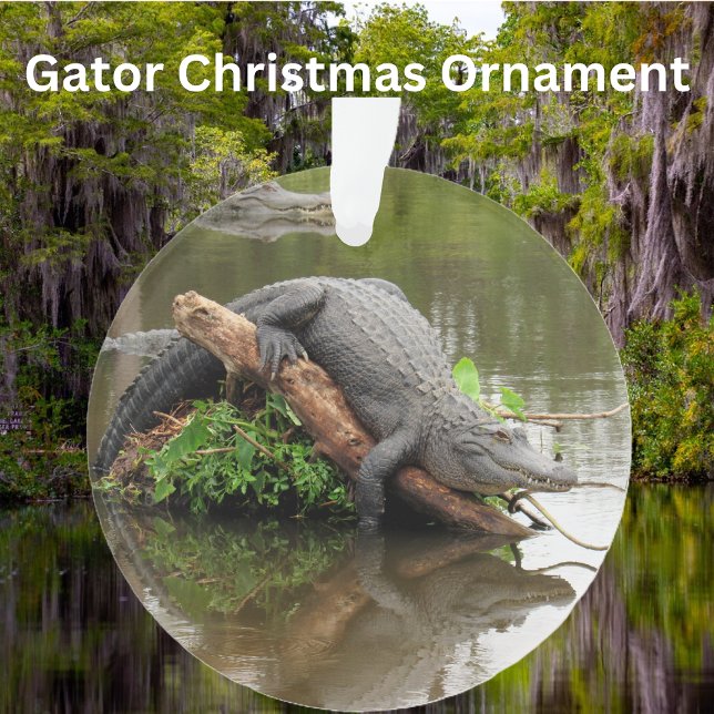 Florida Swamp Gator  - Acrylic Ornament (Creator Uploaded)
