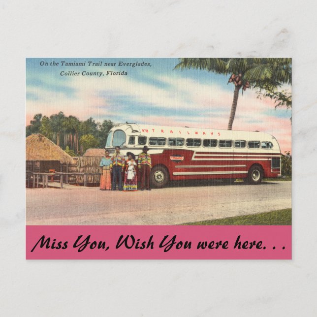 Florida, Tamiami Trail, Everglades Postcard (Front)