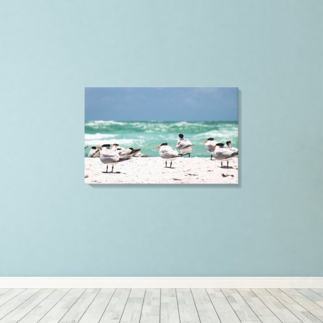 Florida Terns on White Sandy Florida Beach Canvas Print (Insitu(Wood Floor))