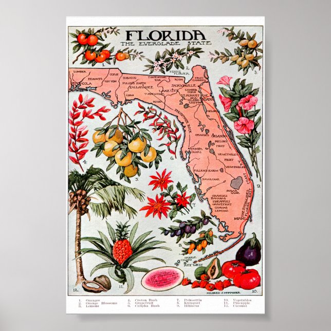 Florida the Everglade State Map Poster (Front)