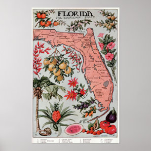 Florida The Everglade State ,Travel Poster
