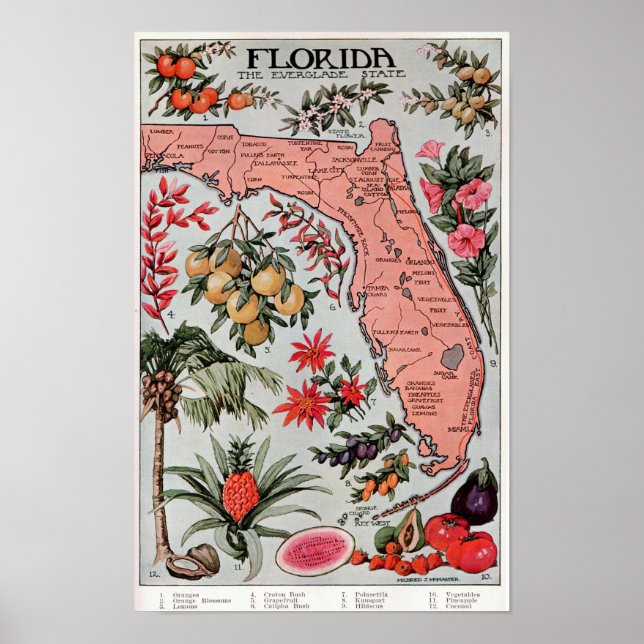 Florida The Everglade State ,Travel Poster (Front)