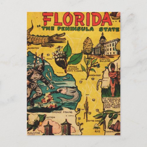 Florida The Peninsula State Postcard