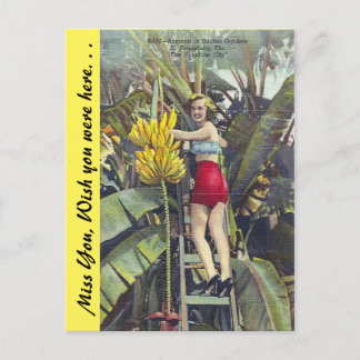 Florida, "The Sunshine City" Postcard