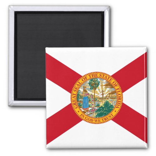 Florida The Sunshine State Floridians US Flag Magnet