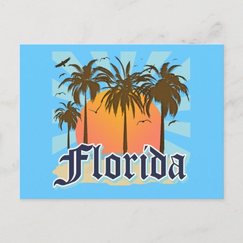 Florida The Sunshine State USA Postcard