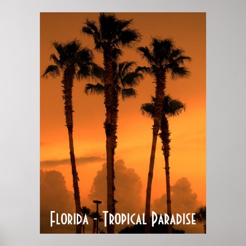 Florida Tropical Paradise Sunset Poster Photograph