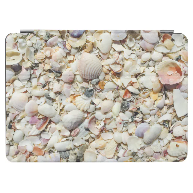 Florida Tropical Sea Shells Beach Shell Background iPad Air Cover | Zazzle