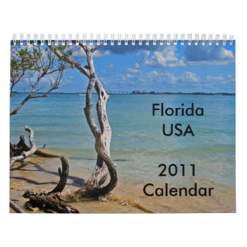 Florida Usa  2011 Calendar by DragonL8dy at Zazzle