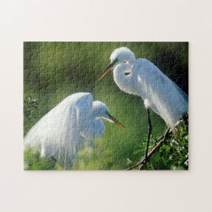 Florida, Venice, Audubon Sanctuary, Common Egret Jigsaw Puzzle