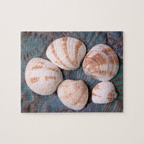 Florida Venus Clam Shells Jigsaw Puzzle