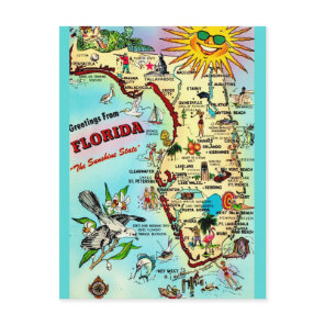 Florida Vintage Bordered  Postcard