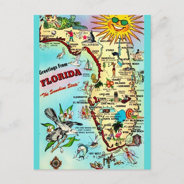 Florida Vintage Fun Postcard (Front)
