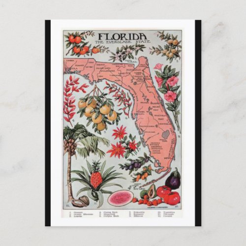 Florida Vintage Map Postcard