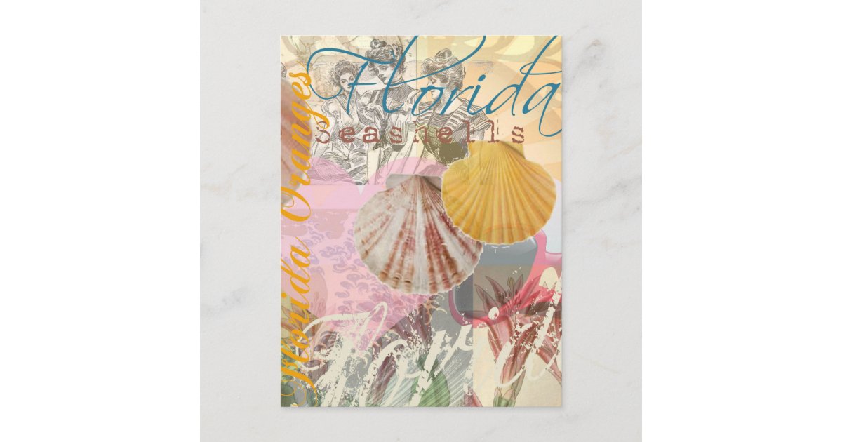 Florida Vintage Travel Beach Seashell Shell Art Postcard | Zazzle