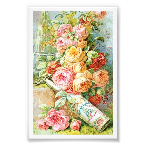 Florida Water Cologne with Cabbage Roses Photo Print