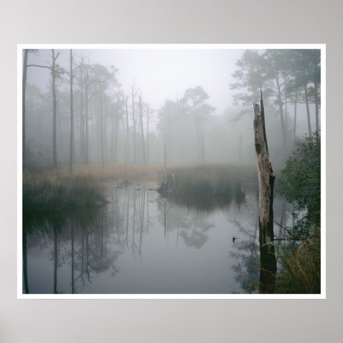 Florida Wetland, Navarre Poster