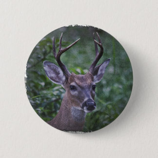 Florida Whitetailed Buck Button