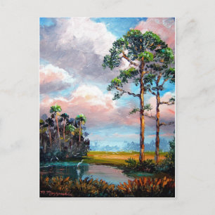 Florida Wilderness Postcard