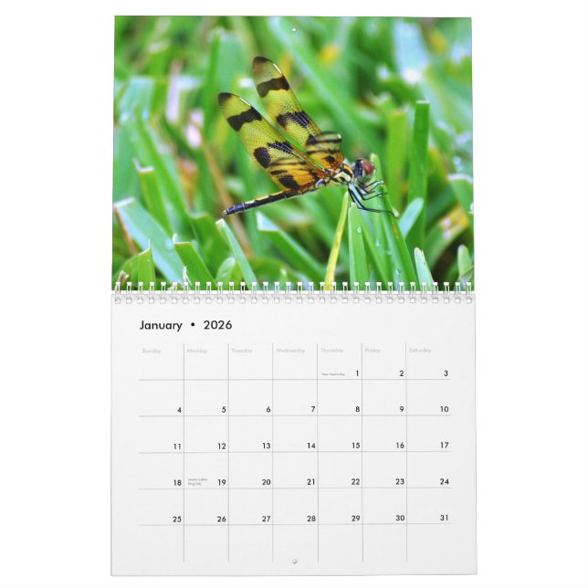 Florida Wildlife Calendar (Jan 2026)