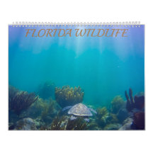 Florida Wildlife Calendar 2020