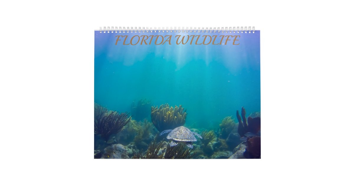 Florida Wildlife Calendar 2020