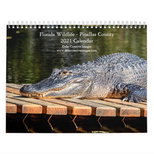 Florida Wildlife in Pinellas County 2021 Calendar