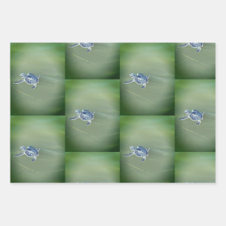 Florida wildlife wrapping paper