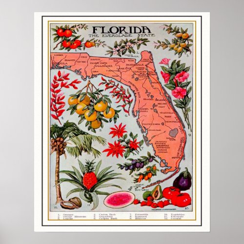 Floridas Bounty Map Poster