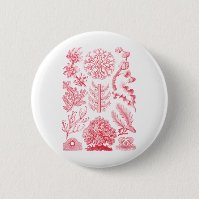 Florideae Pinback Button (Front)