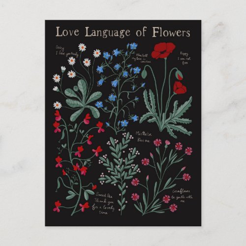 Floriograpy Love language of flowers botanical Holiday Postcard