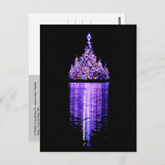 Flotilla of Christmas Trees, NYC -  Postcard (Front/Back)