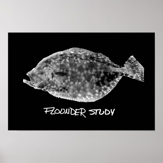 Flounder Study print "VERY POPULAR" (Front)