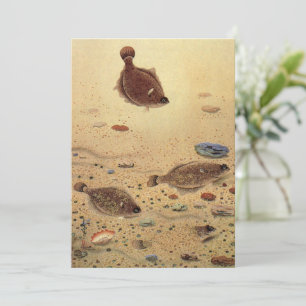 Flounders or Flat Fish, Vintage Marine Ocean Life  Invitation