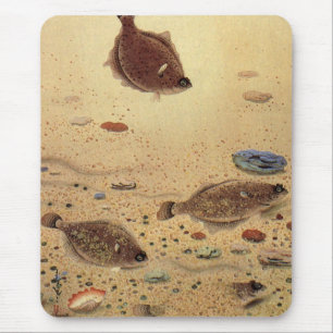 Flounders or Flat Fish, Vintage Marine Ocean Life  Mouse Pad