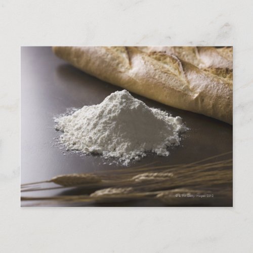 Flour wheat and bread postcard