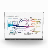 Flow Chart USA American Criminal Justice System