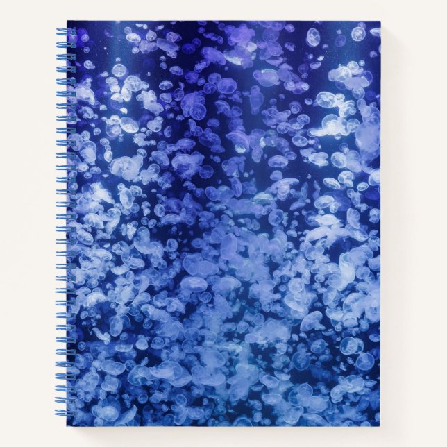 Flow – Jellyfish Notebook for Calm Thinking (Front)
