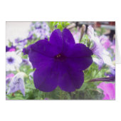 Flower (Front Horizontal)