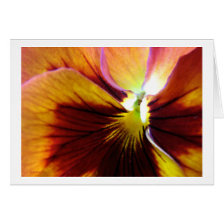 Flower4 Cards