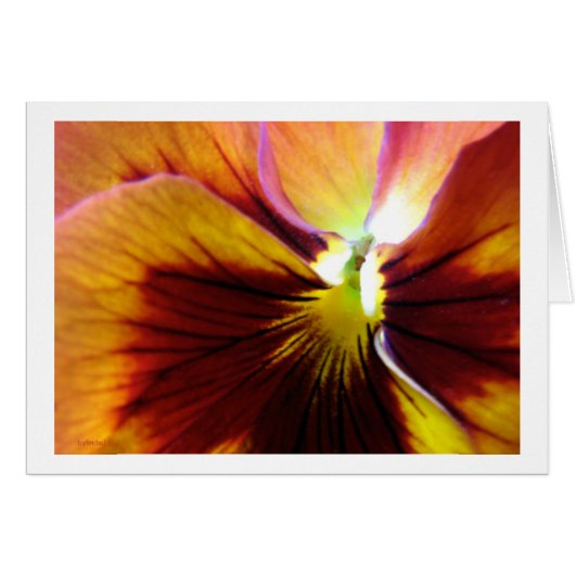 Flower4 Cards (Front Horizontal)