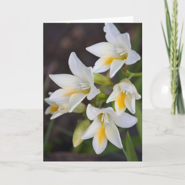 Flower #1668 card (Front)