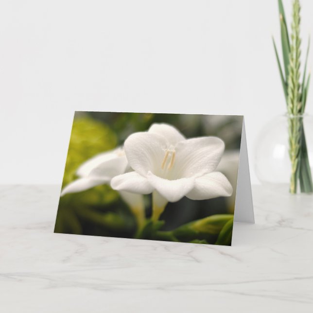Flower (#1) card (Front)