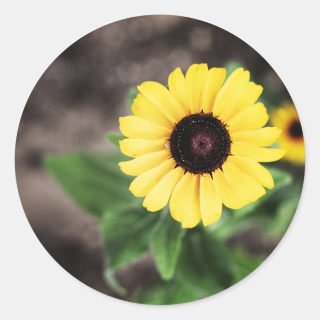 Flower 1 classic round sticker (Front)