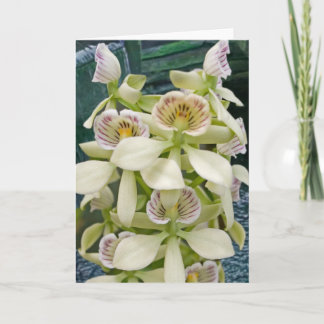 Flower #2817 card