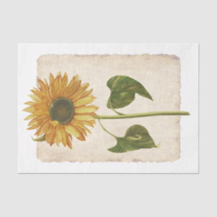 Flower 34 Yellow Sunflower Decoupage Tissue Paper