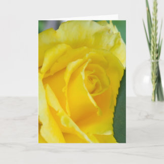Flower #4453 card